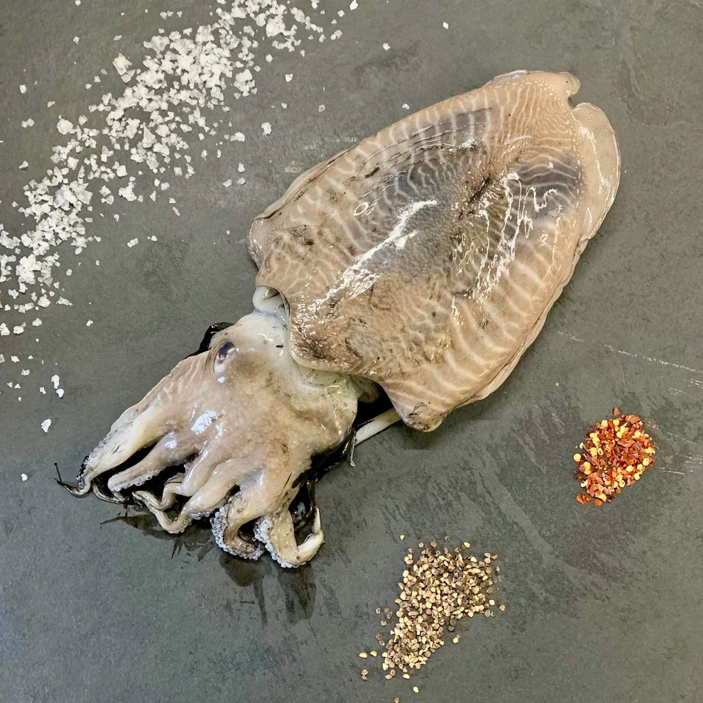 Sepija Algarve stiliumi | ABC+